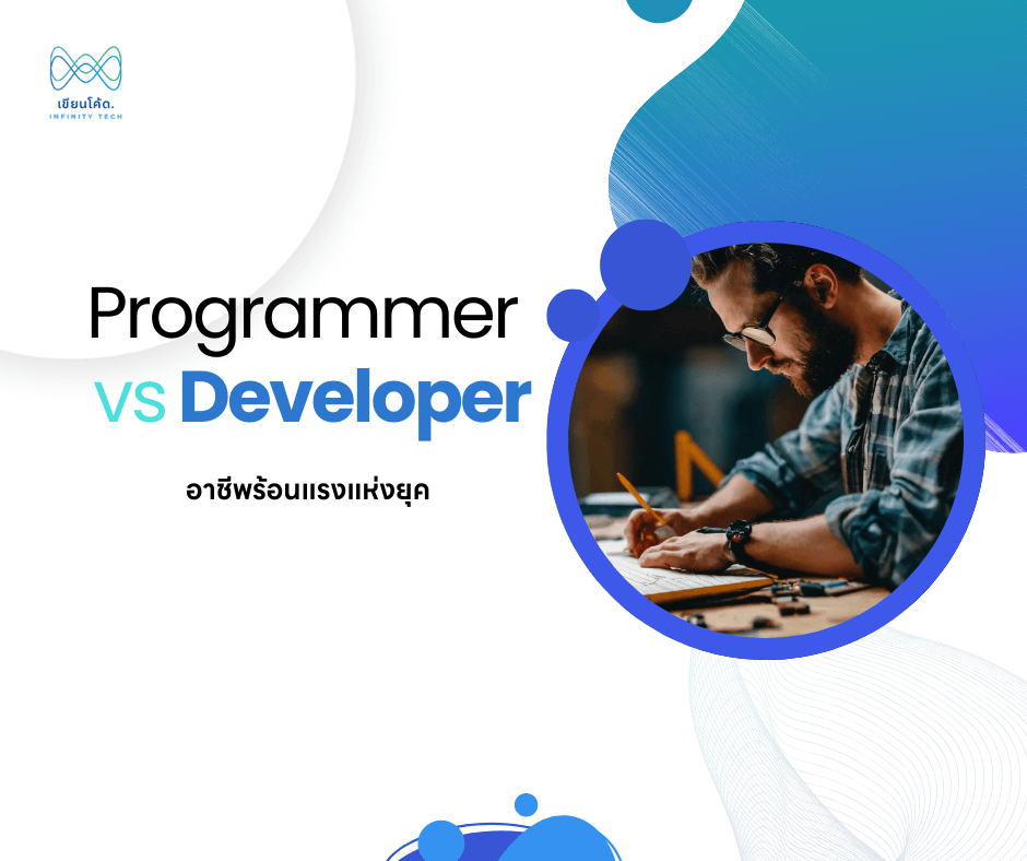 Programmer vs Developer