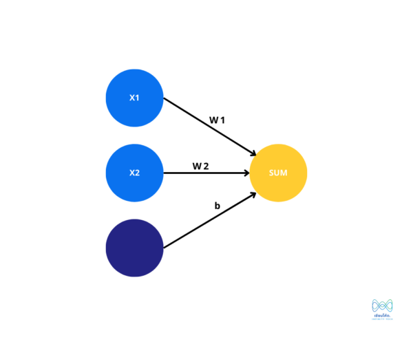 Input Layer ถึง Sum