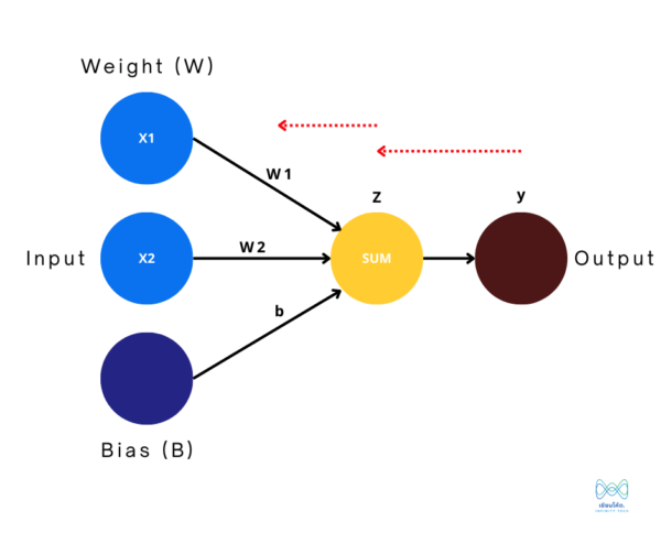 Backward Propagation